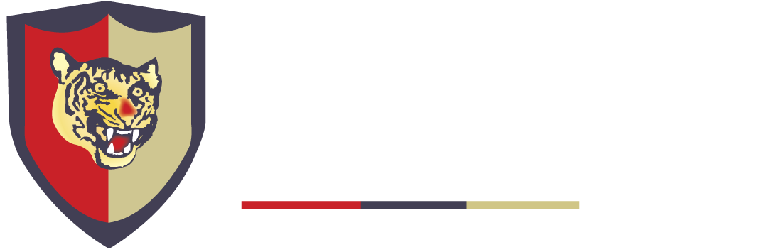 TSG-web-Logo-sticky